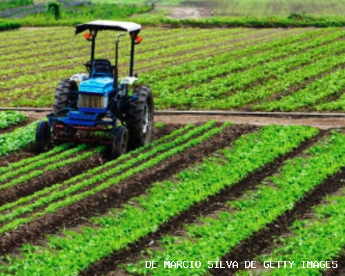 Agriculture - de Marcio Silva de Getty Images La procédure d’adoption de la loi Duplomb est loin d’être satisfaisante d’un point de vue démocratique